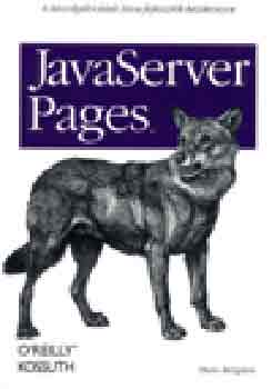 Hans Bergsten: JavaServer Pages antikvár