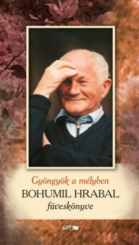 Bohumil Hrabal: Gyöngyök a mélyben könyv