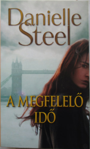 Danielle Steel: A megfelelő idő antikvár