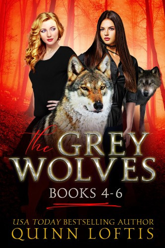 Quinn Loftis: The Grey Wolves Series Books 4-6 e-Könyv