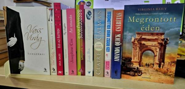 Vass Virág, Leila Sales, Melissa Moretti, Josephine Cox, Susan Maushart, Jennifer Blake, Claire Calman, Stephanie Calman, Amanda Quick, Virginia Baily: 11db romantika, KÖNYVMENTŐ AJÁNLAT: Sohaférfi+ Krásznájá Moszkva+ Éld az életed!+ Ház a hegytetőn+ Az utazás+ Asszonysors+ Tigrisnő+ Leckék vasárnapi apukáknak+ Egy rossz anya vallomásai+ Csábítás+ Megrontott éden antikvár