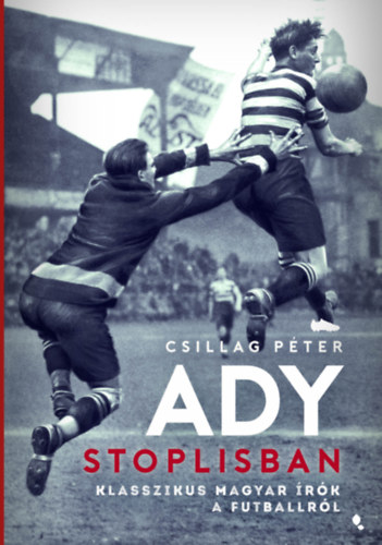 Csillag Péter: Ady stoplisban könyv