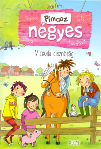 Usch Luhn: Micsoda disznóság! könyv
