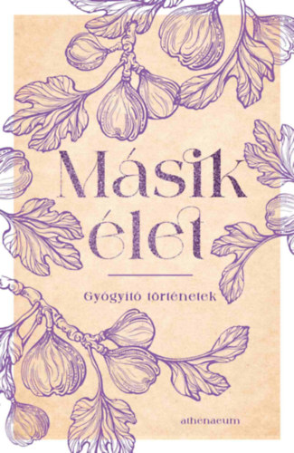 Másik élet - Gyógyító történetek könyv