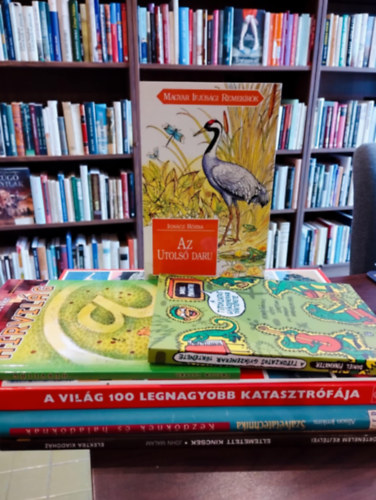 Ignácz Rózsa, Daniel Pinkwater, Michael Pollard, Alison Jenkins, John Malam, Váncsa István: Ifjúsági könyvcsomag 6 darabos KÖNYVMENTŐ AJÁNLAT : Az utolsó daru, A titokzatos gyíkzenekar története, A Világ 100 Legnagyobb Katasztrófája, Szalvétatechnika kezdőknek és haladóknak, Eltemetett kincsek, Hírvilág antikvár