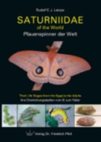 Lampe, Rudolf E. J.: Saturniidae of the World   Pfauenspinner der Welt idegen