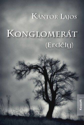 Konglomerát (Erdély) akciós termékkép 1