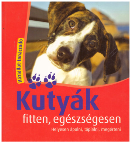 Jennifer Willms: Kutyák fitten, egészségesen - Helyesen ápolni, táplálni, megérteni antikvár
