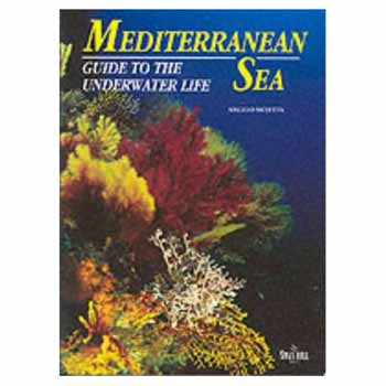 Angelo Mojetta: The Mediterranean Sea - Guide to the Underwater Life antikvár