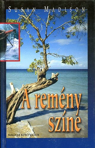 Susan Madison: A remény színe antikvár