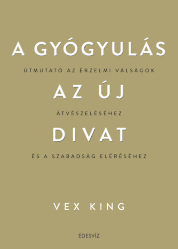Vex King: A gyógyulás az új divat e-Könyv