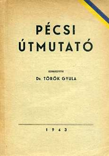 Dr. Török Gyula (szerk.): Pécsi útmutató antikvár