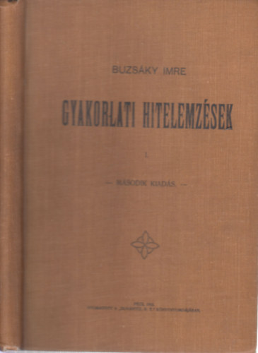 Buzsáky Imre: Gyakorlati hitelemzések I. antikvár