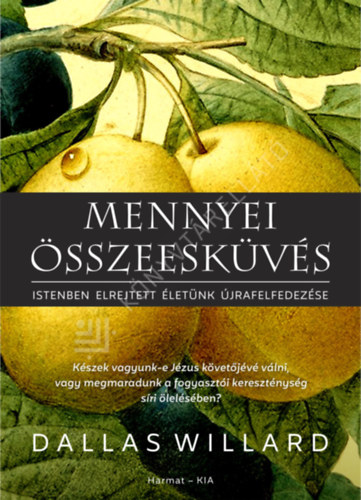 Dallas Willard: Mennyei összeesküvés - Istenben elrejtett életünk újrafelfedezése antikvár
