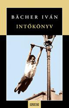 Bächer Iván: Intőkönyv antikvár