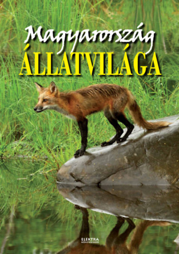 Bernáth István: Magyarország állatvilága antikvár