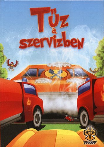 Biharinékun Erika: Tűz a szervízben könyv
