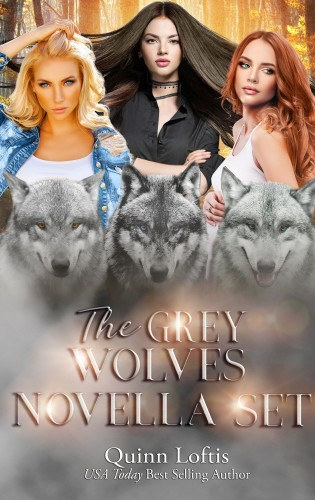 Quinn Loftis: The Grey Wolves Novella Collection - Books 1-4: Sacred Silence, Resounding Silence, Piercing Silence, and Forgotten Silence (The Grey Wolves Series) e-Könyv