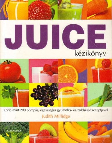 Judith Millidge: Juice kézikönyv antikvár