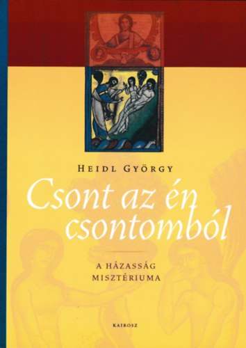 Heidl György: Csont az én csontomból antikvár