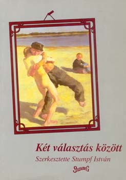Stumpf István: Két választás között antikvár