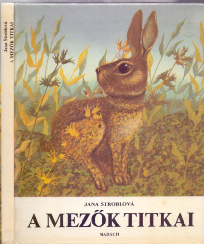 Jana Stroblová, Fordította: Tóth Elemér: A mezők titkai (Első magyar nyelvű kiadás - Jan Kudlácek és Julie Svobodová illusztrációival) antikvár