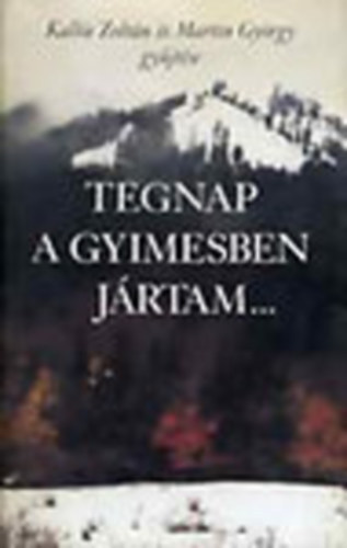 Kallós Zoltán, Martin György: Tegnap a Gyimesben jártam... (Gyimes-völgyi lírai dalok) antikvár