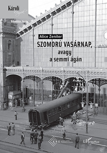 Alice Zeniter: Szomorú vasárnap, avagy a semmi ágán antikvár