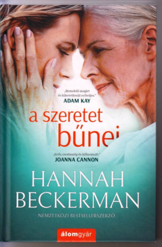 Hannah Beckerman: A szeretet bűnei antikvár