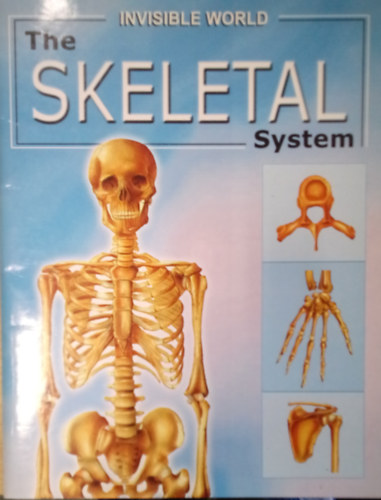 The Skeletal System / Invisible Worls / antikvár