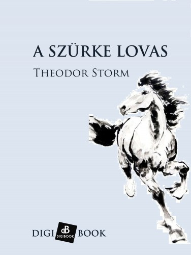 A szürke lovas akciós termékkép 1