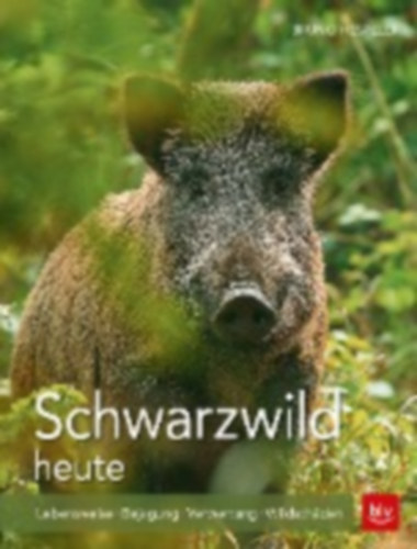 Hespeler, Bruno: Schwarzwild heute idegen