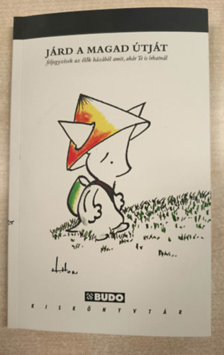 Zsolt Péter: Járd a magad útját (feljegyzések az élők házából, amit akár Te is írhatnál) antikvár