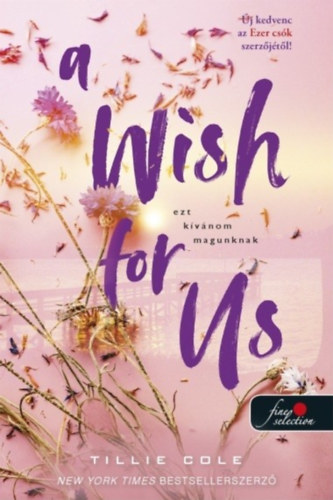 Tillie Cole: A Wish for Us - Ezt kívánom magunknak könyv
