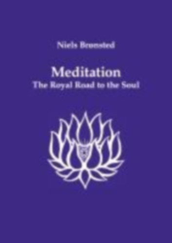 Brønsted, Niels: Meditation idegen