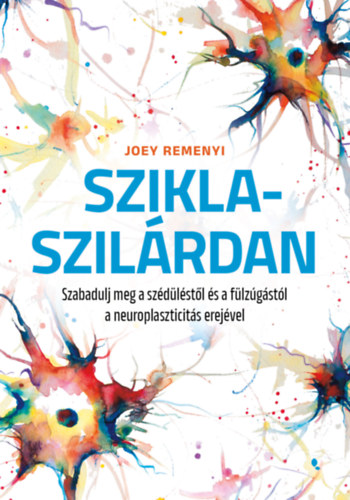 Joey Remenyi: Sziklaszilárdan antikvár
