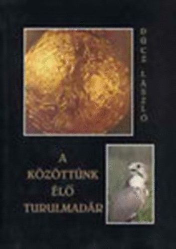 Dúcz László: A közöttünk élő turulmadár (dedikált) - Dedikált antikvár