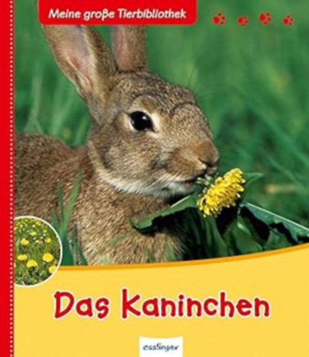 Valérie Tracqui: Meine große Tierbibliothek: Das Kaninchen antikvár
