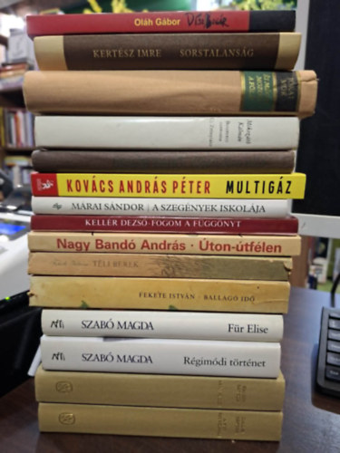 Oláh Gábor, Kertész Imre, Jókai Mór, Mikszáth Kálmán, Urbán Ernő, Kovács András Péter, Márai Sándor, Kellér Dezső, Nagy Bandó András, Fekete István, Dallos Sándor: 14 db regény 15 kötetben, KÖNYVMENTŐ AJÁNLAT: Díszbogár, Sorstalanság, És mégis mozog a föld, Beszterce ostroma- Új Zrínyiász, Kemény dió, Multigáz, A szegények iskolája, Fogom a függönyt, Úton-útfélen, Téli berek, Ballagó idő, Für Elise, antikvár