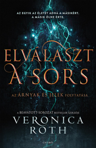 Veronica Roth: Elválaszt a sors könyv