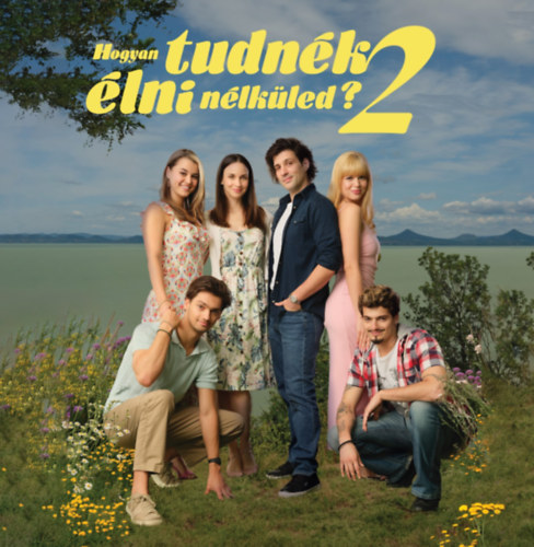 Hogyan tudnék élni nélküled 2. (Eredeti Filmzene) - LP LP