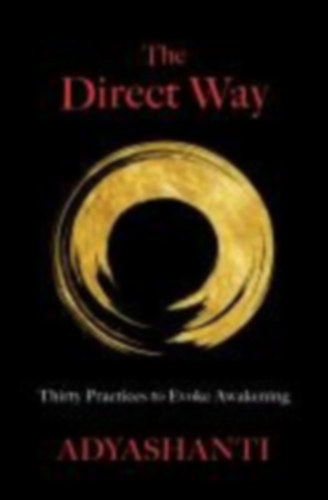 Adyashanti: The Direct Way idegen