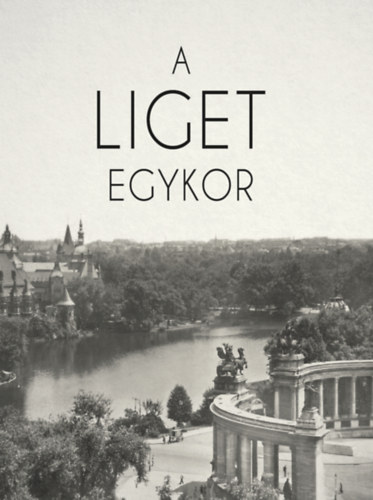 A Liget egykor akciós termékkép 1