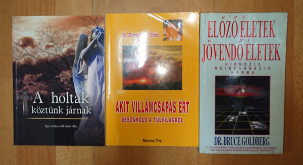 Marana Tha, Bruce Goldberg: 3 könyv a túlvilágról: A holtak köztünk jártunk, Akit villámcsapás érrt - beszámoló aa túlvilágról, Előző életek, jövendő életek antikvár