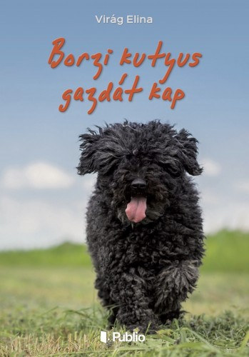 Virág Elina: Borzi kutyus gazdát kap e-Könyv