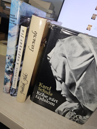 Frantisek Jilek, Hugh McLeave, Irving Stone, Karel Schulz: 4db művész életrajz, KÖNYVMENTŐ AJÁNLAT: Leonardo+ A festő és a hegy (Cézanne élete)+ A napsugár fia - Van Gogh élete+ Kőbe zárt fájdalom (Michelangelo Buonarroti életregénye) antikvár