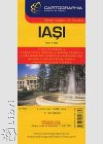Ion Amihaesei: Iasi antikvár