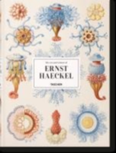 Voss, Julia - Willmann, Rainer: The Art and Science of Ernst Haeckel idegen