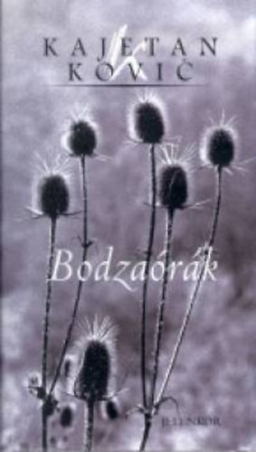 Kajetan Kovic: Bodzaórák antikvár
