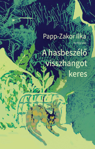Papp-Zakor Ilka: A hasbeszélő visszhangot keres könyv